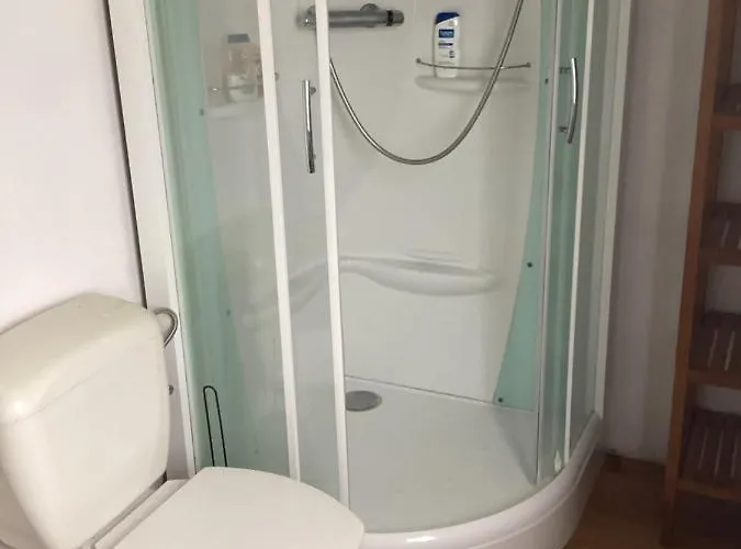 Les Chineurs Du 81 Liège