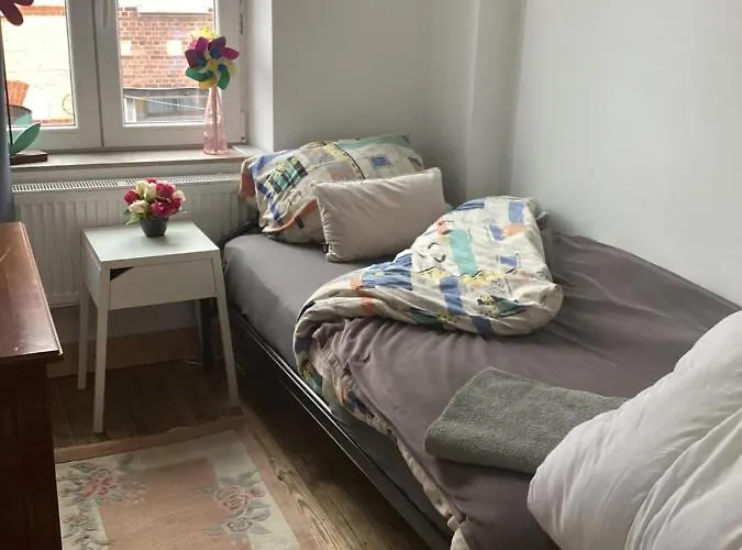 Les Chineurs Du 81 Liège